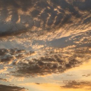 Meet your Posher, Gianna